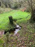 Viager maison Lopérec 29590 Finistère 29 126 m2 6 pièces 50000 euros 29060-1095778 008