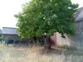 Maison a vendre Josnes 41370 Loir-et-Cher 41 130 m2 3 pièces 220600 euros 091/1538 016
