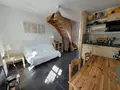 Maison a vendre Neufchâtel-Hardelot 62152 Pas-de-Calais 62 282 m2 15 pièces 1195000 euros 069/703 018
