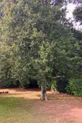 Maison a vendre Guipavas 29490 Finistère 29 122 m2 6 pièces 394700 euros 1076 028