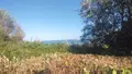 Maison a vendre Plougasnou 29630 Finistère 29 121 m2 7 pièces 682500 euros VEKE 025