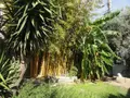 Maison a vendre Bellegarde 30127 Gard 30 90 m2 4 pièces 395000 euros 11411/462 005