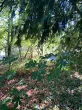 Maison a vendre Clion 36700 Indre 36 73 m2 4 pièces 64800 euros 1052866 008