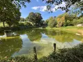 Terrains de loisirs bois etangs a vendre Saint-Mars-sur-la-Futaie 53220 Mayenne 53 20792 euros 1392 002
