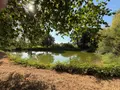 Terrains de loisirs bois etangs a vendre Saint-Mars-sur-la-Futaie 53220 Mayenne 53 20792 euros 1392 005