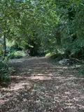 Terrains de loisirs bois etangs a vendre Saint-Mars-sur-la-Futaie 53220 Mayenne 53 20792 euros 1392 006