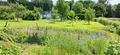 Maison a vendre Esquéhéries 02170 Aisne 02 101 m2 4 pièces 95400 euros 02014/913 002