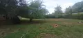 Maison a vendre Vesaignes-sur-Marne 52800 Haute-Marne 52 163 m2 6 pièces 118400 euros 52020-79 034