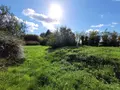 Maison a vendre Halinghen 62830 Pas-de-Calais 62 148 m2 5 pièces 258115 euros 069/705 029