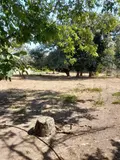 Maison a vendre Saint-Jean-de-Sauves 86330 Vienne 86 170 m2 11 pièces 105000 euros 86056/17 010