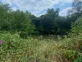 Terrains de loisirs bois etangs a vendre Pontmain 53220 Mayenne 53 105400 euros 135/166 002