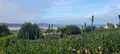 Maison a vendre Crozon 29160 Finistère 29 103 m2 6 pièces 681200 euros 3315-70 008