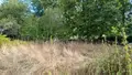Maison a vendre La Gacilly 56200 Morbihan 56 72 m2 2 pièces 85000 euros 009/1384 006