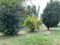 Maison a vendre Le Creusot 71200 Saône-et-Loire 71 88 m2 4 pièces 59400 euros 13744/339 007