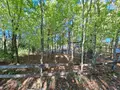 Terrains de loisirs bois etangs a vendre Osmery 18130 Cher 18 9900 euros 260138 005