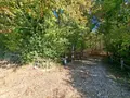 Terrains de loisirs bois etangs a vendre Osmery 18130 Cher 18 9900 euros 260138 009