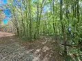 Terrains de loisirs bois etangs a vendre Osmery 18130 Cher 18 9900 euros 260138 010