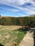 Location maison Romillé 35850 Ille-et-Vilaine 35 104 m2 6 pièces 1090 euros 050/184 038