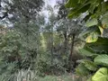 Maison a vendre La-Montagne 97417 La Réunion 974 157 m2 4 pièces 509300 euros 97405/329 029