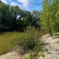 Divers a vendre Troyes 10000 Aube 10 53 m2 3 pièces 157500 euros 10361/6090 014