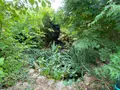 Maison a vendre Plouha 22580 Côtes-d'Armor 22 155 m2 6 pièces 417375 euros MAIS-388 034