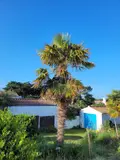Maison a vendre Noirmoutier-en-l'Île 85330 Vendée 85 134 m2 8 pièces 829000 euros PB-1886 004