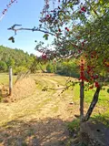 Maison a vendre Saint-Dier-d'Auvergne 63520 Puy-de-Dôme 63 130 m2 3 pièces 191000 euros 2026-94-2026284 014