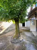 Maison a vendre Bazas 33430 Gironde 33 225 m2 8 pièces 71000 euros 33062-45 013