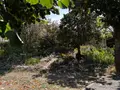 Maison a vendre Ancinnes 72610 Sarthe 72 177 m2 8 pièces 250800 euros 13873/987CV 020