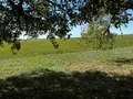 Maison a vendre Ancinnes 72610 Sarthe 72 177 m2 8 pièces 250800 euros 13873/987CV 021