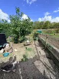 Maison a vendre Isbergues 62330 Pas-de-Calais 62 106 m2 8 pièces 160000 euros 481 007