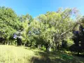 Maison a vendre Saint-Thurien 29380 Finistère 29 80 m2 4 pièces 231000 euros 11352/973 012