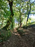 Maison a vendre Saint-Thurien 29380 Finistère 29 80 m2 4 pièces 231000 euros 11352/973 013