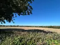 Maison a vendre Chalonnes-sur-Loire 49290 Maine-et-Loire 49 150 m2 7 pièces 402420 euros 12516/1339 003