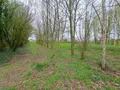 Terrains de loisirs bois etangs a vendre Prée-d'Anjou 53200 Mayenne 53 63360 euros 076/2758-MAD 003