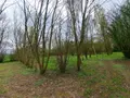 Terrains de loisirs bois etangs a vendre Prée-d'Anjou 53200 Mayenne 53 63360 euros 076/2758-MAD 004