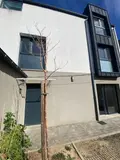 Maison a vendre Chartres 28000 Eure-et-Loir 28 162 m2 8 pièces 600300 euros 516 005