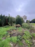Maison a vendre Audincthun 62560 Pas-de-Calais 62 83 m2 4 pièces 127500 euros 13078/3688 010