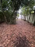 Maison a vendre Bordeaux 33000 Gironde 33 58 m2 2 pièces 220500 euros 022/1250 001