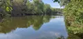 Terrains de loisirs bois etangs a vendre Thouars 79100 Deux-Sèvres 79 42 m2 48900 euros 79079-63 005