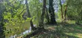 Terrains de loisirs bois etangs a vendre Thouars 79100 Deux-Sèvres 79 42 m2 48900 euros 79079-63 008