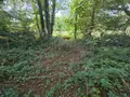 Maison a vendre Saint-Aubin-Fosse-Louvain 53120 Mayenne 53 107 m2 4 pièces 84000 euros 53075DLS26027 016