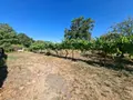 Maison a vendre La Chapelle-Gaudin 79300 Deux-Sèvres 79 54 m2 2 pièces 60241 euros AGM 97** 014