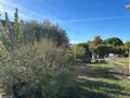 Maison a vendre Chalonnes-sur-Loire 49290 Maine-et-Loire 49 166 m2 6 pièces 333585 euros 12516/1342 003