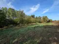 Terrains de loisirs bois etangs a vendre Villaines-la-Juhel 53700 Mayenne 53 24380 euros 1414 005