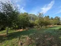 Terrains de loisirs bois etangs a vendre Villaines-la-Juhel 53700 Mayenne 53 24380 euros 1414 024