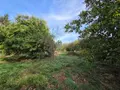 Terrains de loisirs bois etangs a vendre Villaines-la-Juhel 53700 Mayenne 53 24380 euros 1414 029