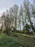 Terrains de loisirs bois etangs a vendre Villaines-la-Juhel 53700 Mayenne 53 24380 euros 1414 039