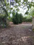Maison a vendre Séris 41500 Loir-et-Cher 41 88 m2 3 pièces 142000 euros 091/1545 021