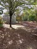 Maison a vendre Séris 41500 Loir-et-Cher 41 88 m2 3 pièces 142000 euros 091/1545 025